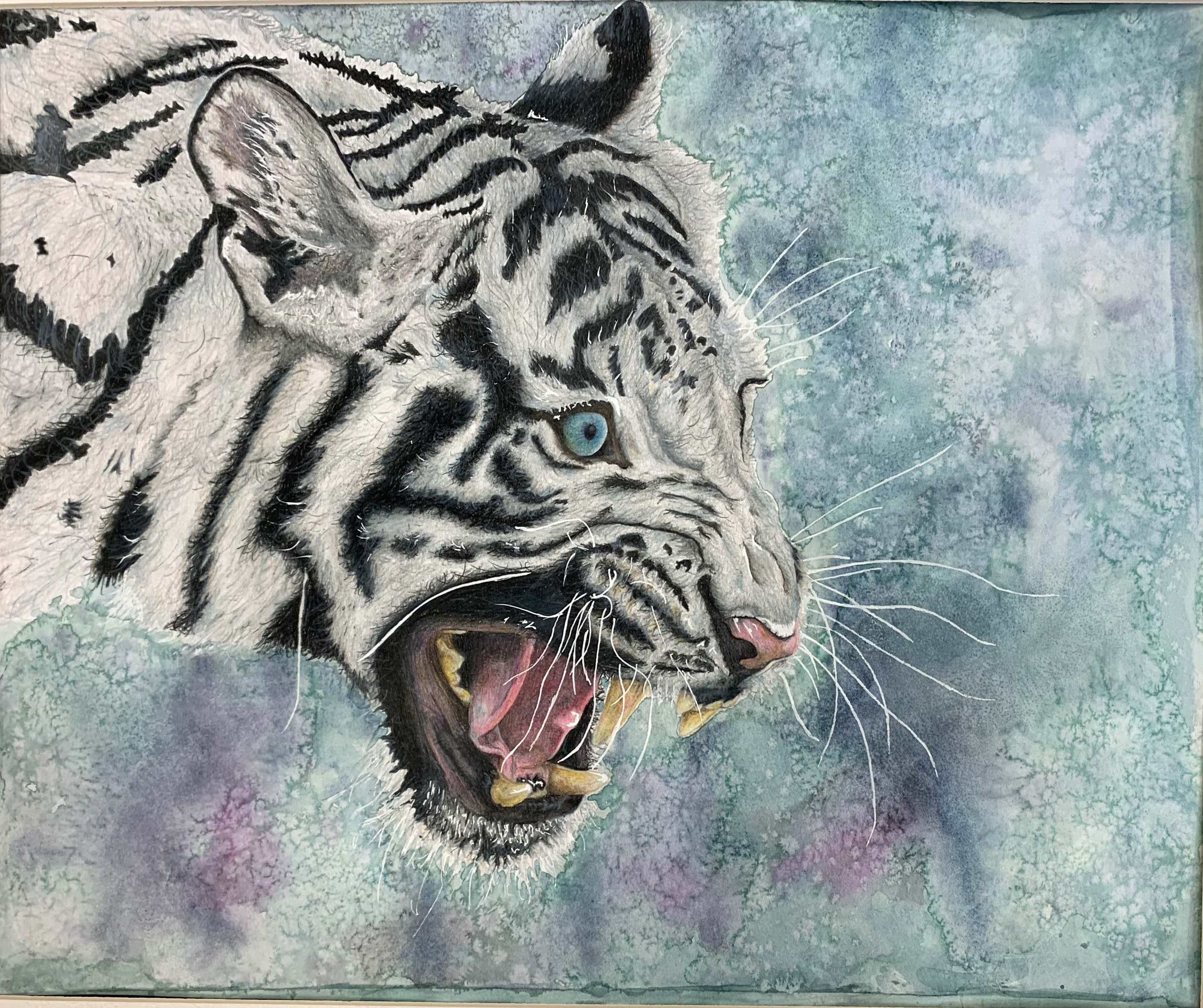 Colored Pencil - Anomoly