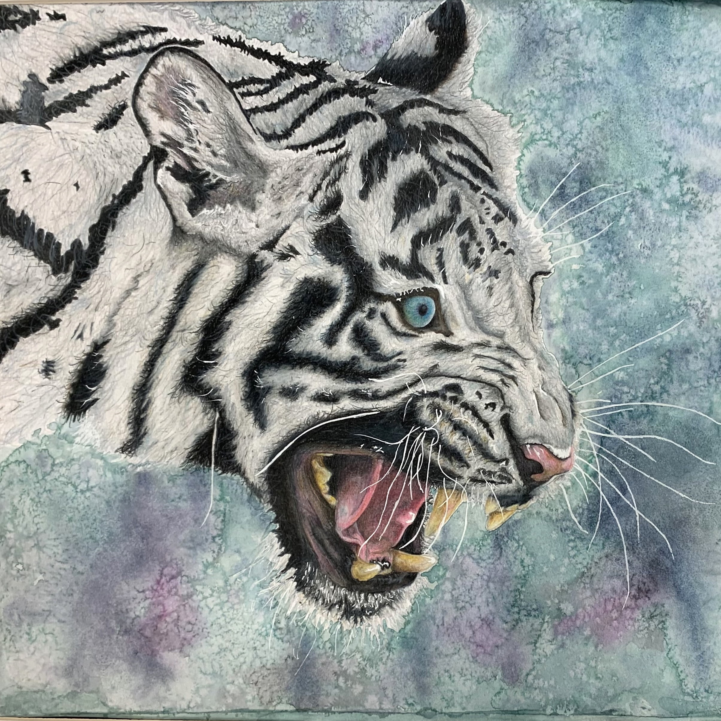 Anomoly - Colored Pencil Art