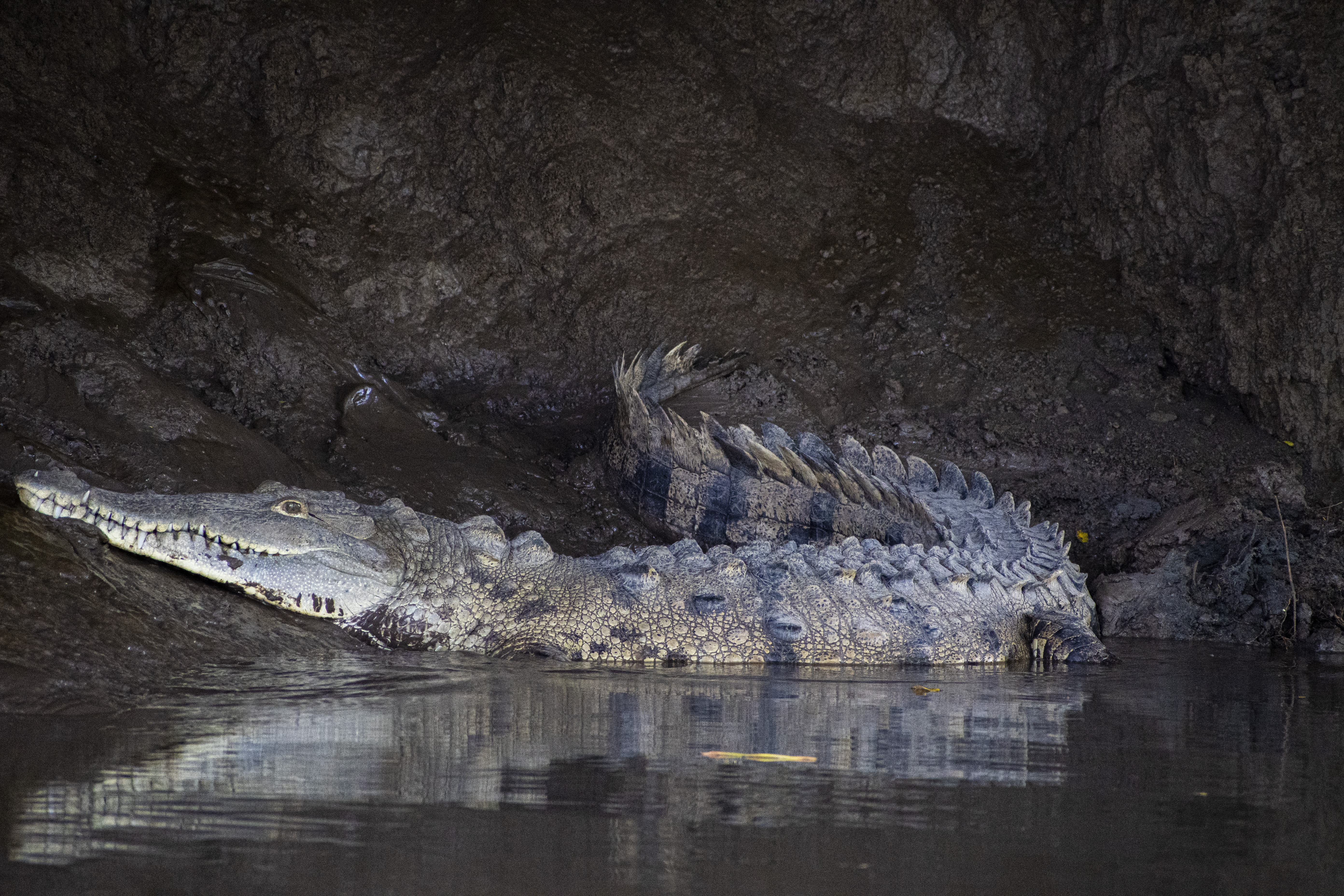 Graphic Design Poster Project