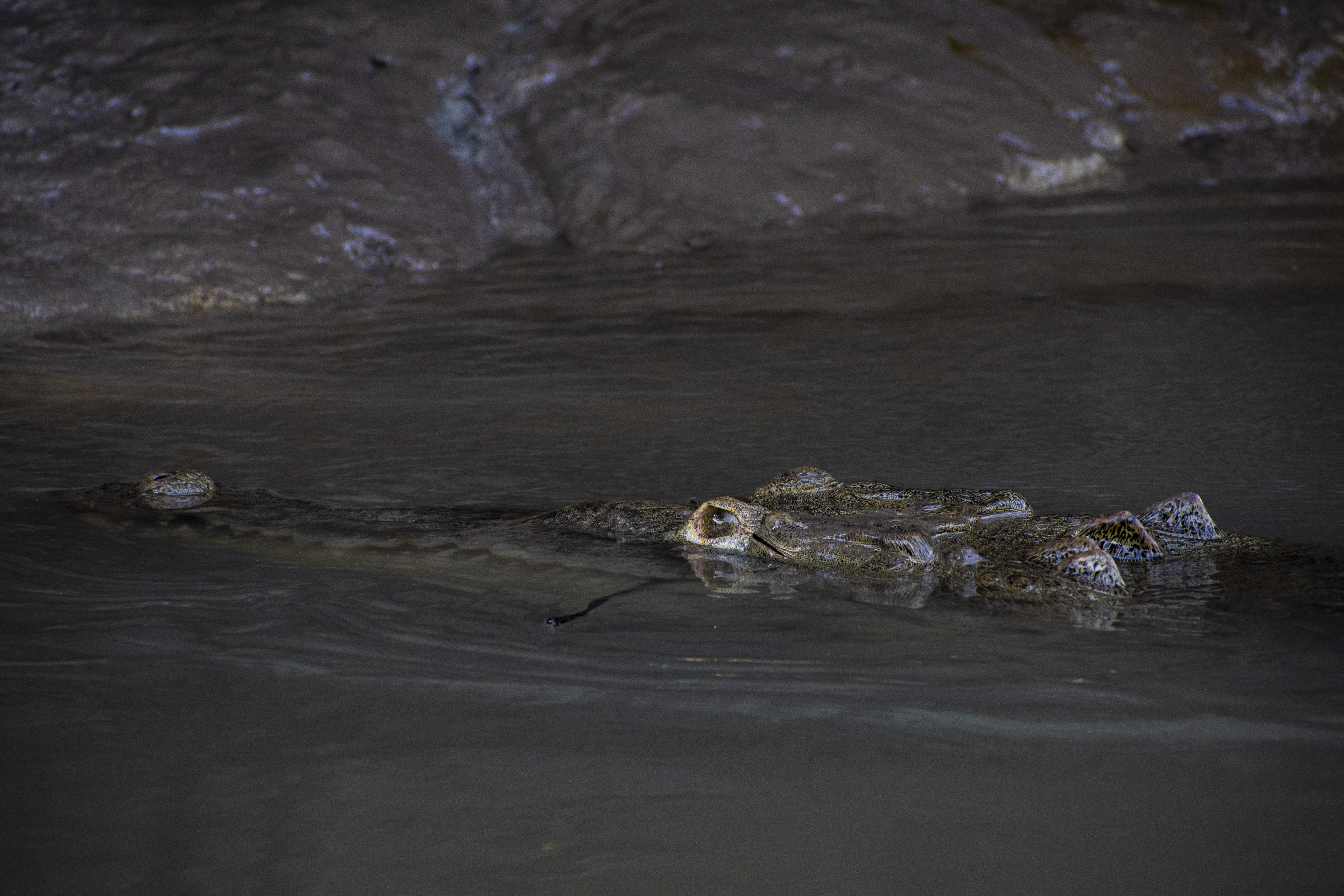 Graphic Design Poster Project